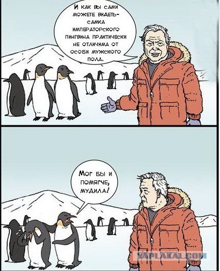 Нестандартный юмор