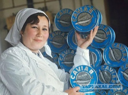 Купил настоящую чёрную икру за 200 рублей!