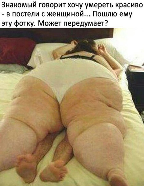Скотсети и прочие интернеты 01.02.19