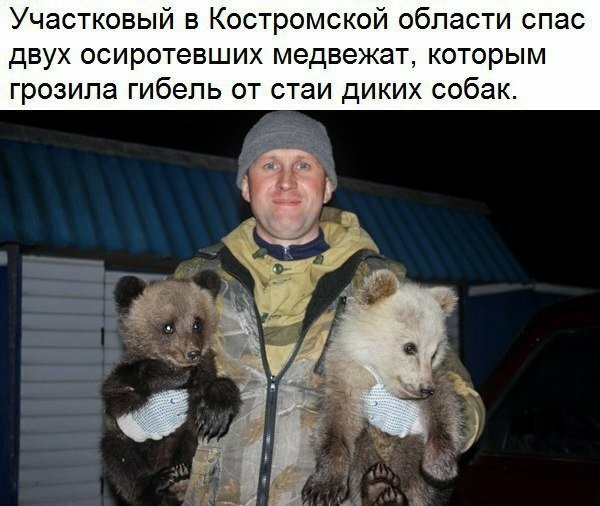 Анекдоты, соц-сети и картинки с надписями