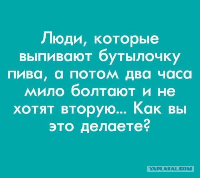 Забавные шутки, картинки и фразы из этих ваших интернетов