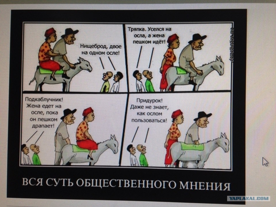 Рабочий стол, картинка муж жена осел