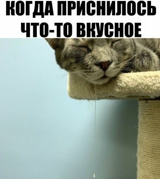 Набор разных картинок 17/10