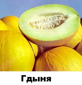 Поиграем в города?!