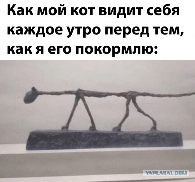 Не твой сегодня день, не твой...