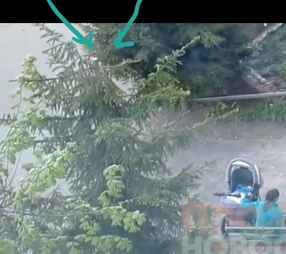 Синие будни