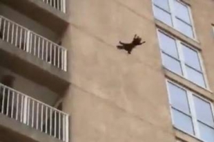 Вот это трюк!
