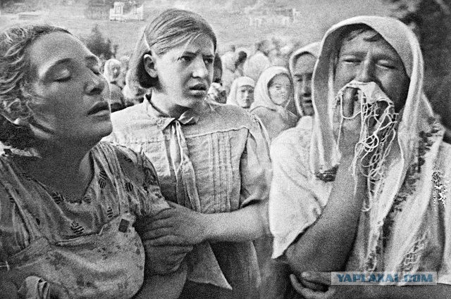 Эмоции