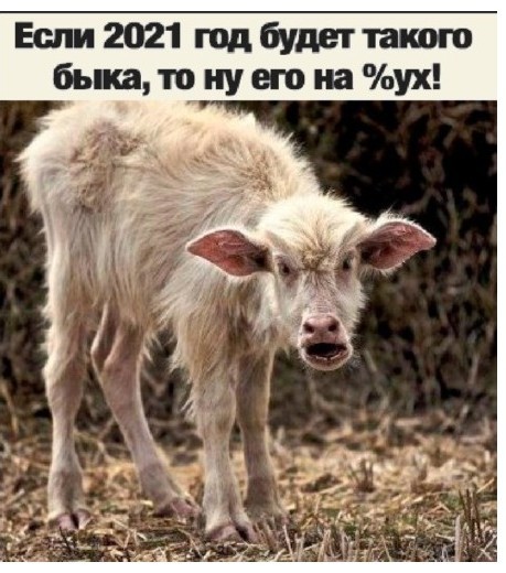Ученые подтвердили высокие темпы распространения нового типа коронавируса
