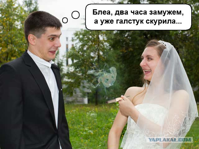"Захомутали!"