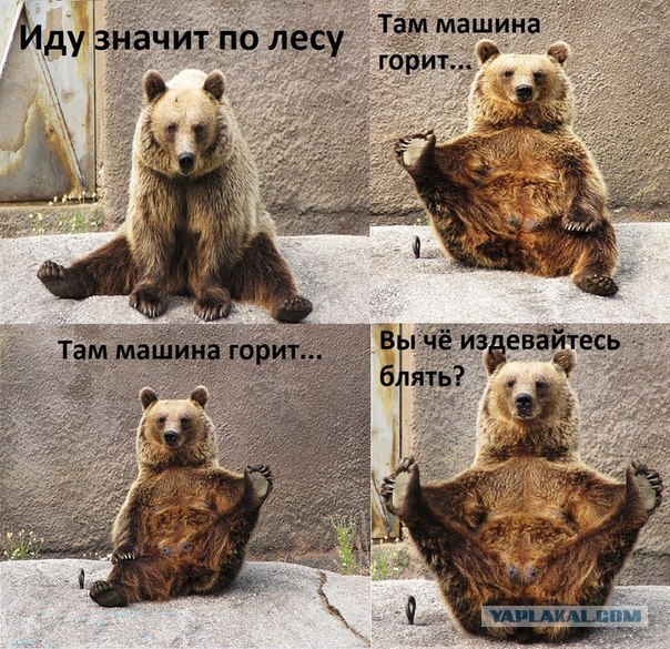 Жириновский и комиксы