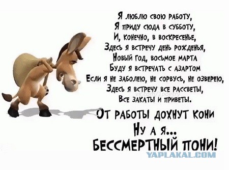 Слишком прагматичный кавалер: неудачное свидание