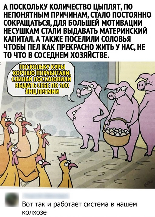 Баянисто-небаянистый юмор 9.04.21