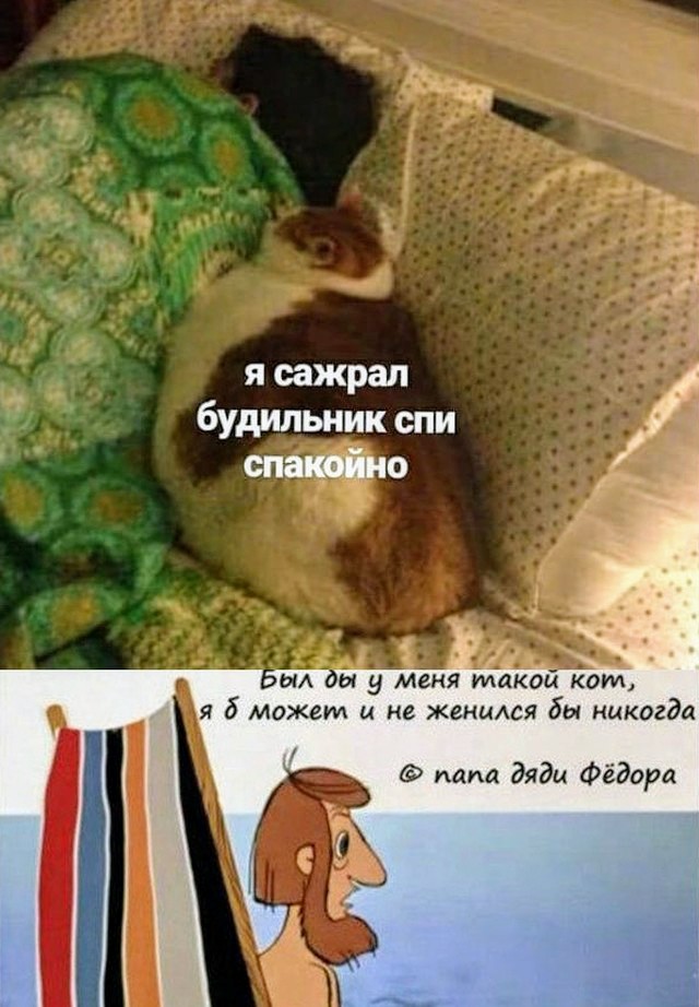 Картинки и мемы для настроения 05.05.2021