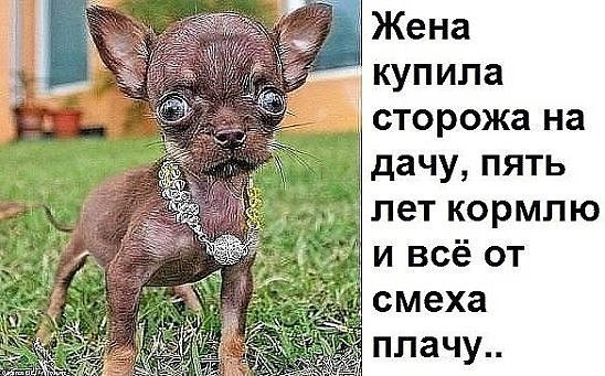 Концентрированная ярость!