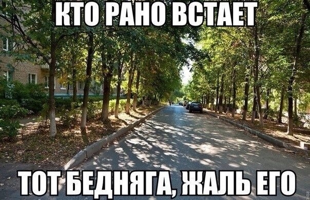 Так себе картинки 30.05.21