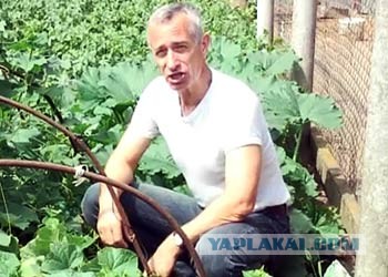 Переехал жить в деревню