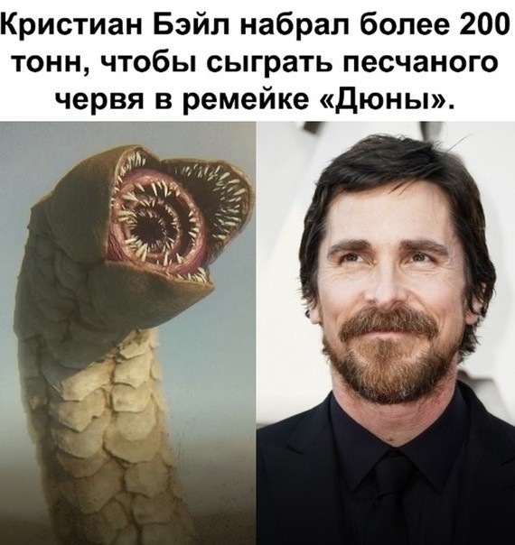 Вселенная DUNE с теплотой и юмором