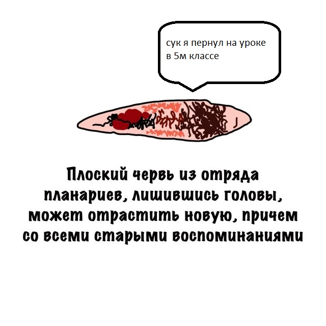 Картинки на субботу