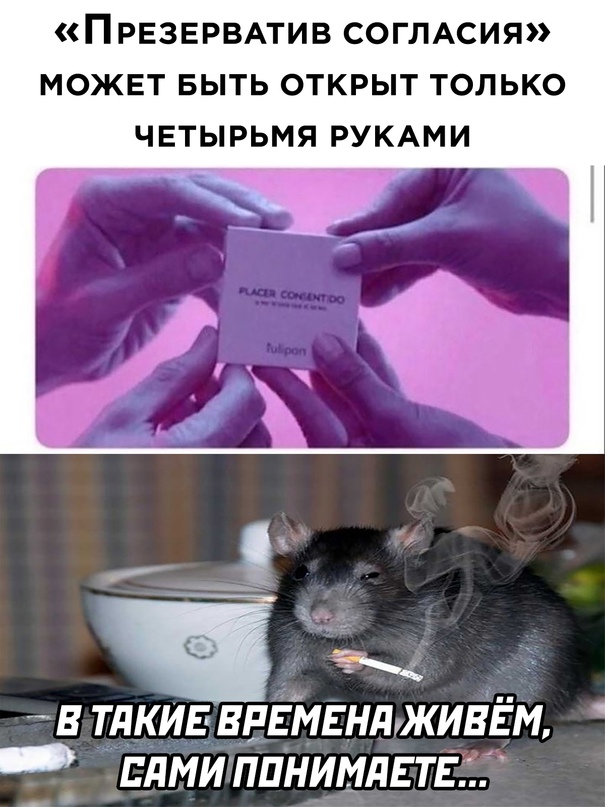 Весёлый полтишок 10.10