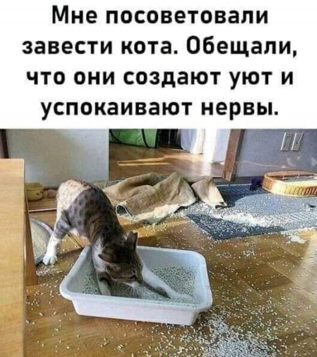 Так себе картинки 13.04.22