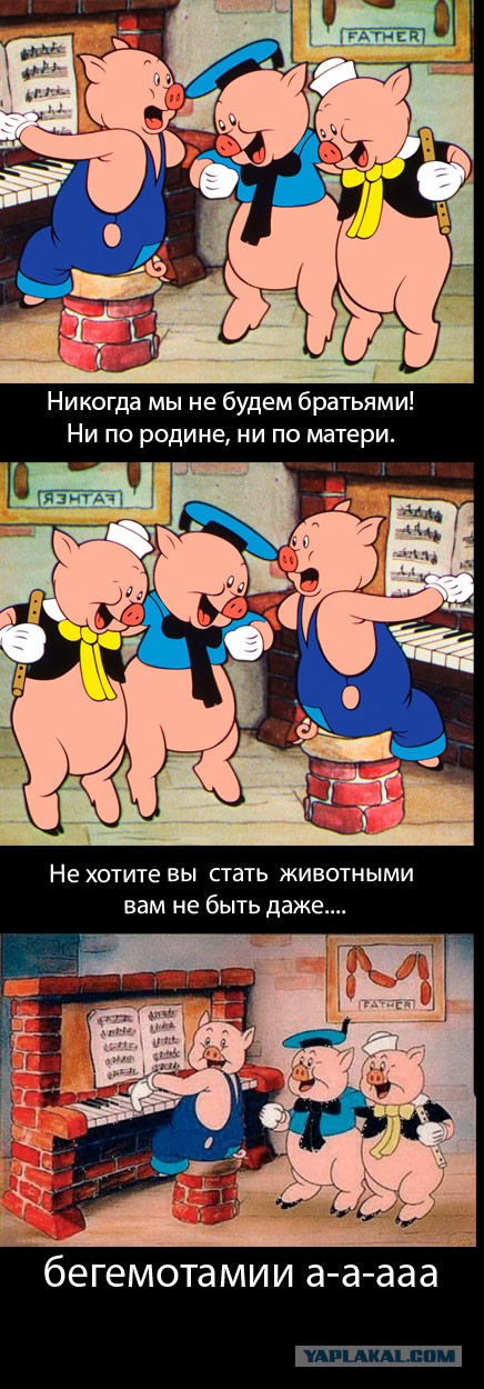Самый лучший ответ на стих “Никогда мы не будем братьями“