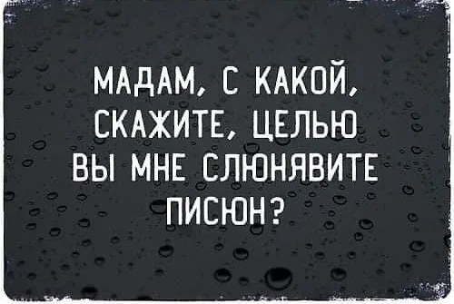 Юмор в картинках и без 05.08.22