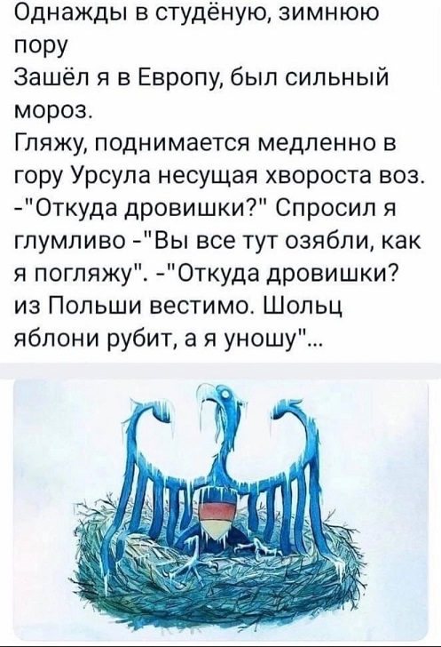 Пандемия съехавших крыш - разновидности болезни. Россия и мир. Часть 39.