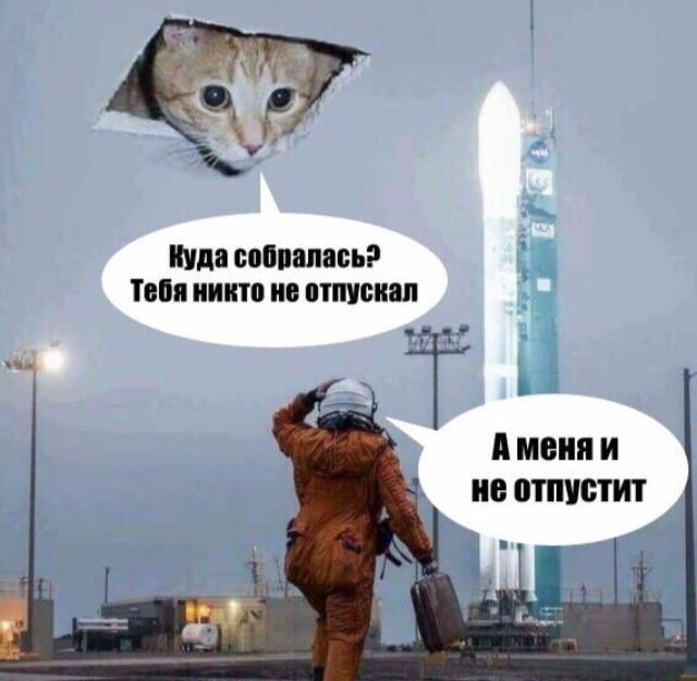 Картинки разные нужны, картинки всякие важны