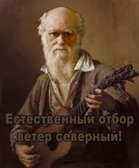 Видео очень тяжёлой аварии на территории Софийской овощебазы - погибли три человека.