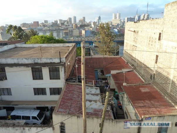 AFRICA - (Эфиопия,Кения,Танзация) 4-16 ноября 2011