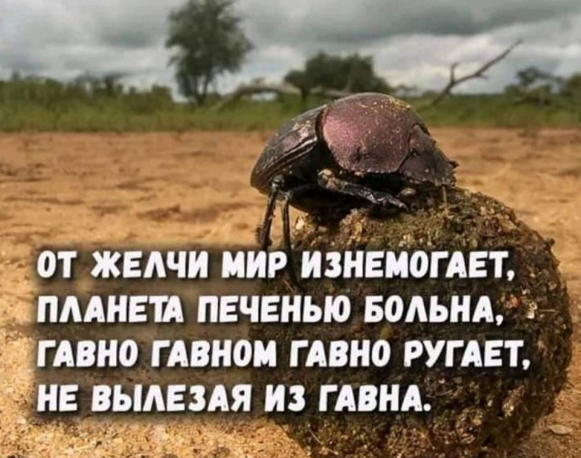 Немного картинок для настроения - 127