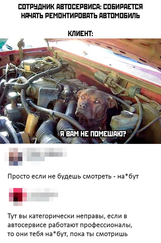 Немного картинок для настроения - 135