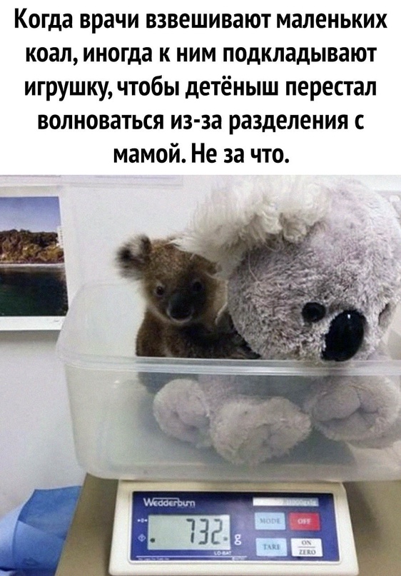 Картинки и мемы, всем хороших выходных