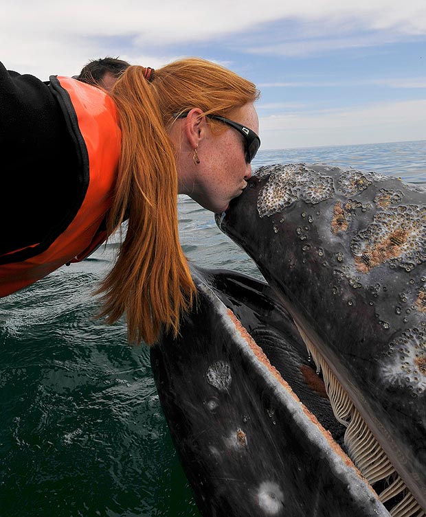 Поцеловаться с китом