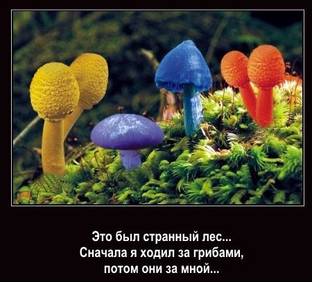 Немного картинок для настроения - 137