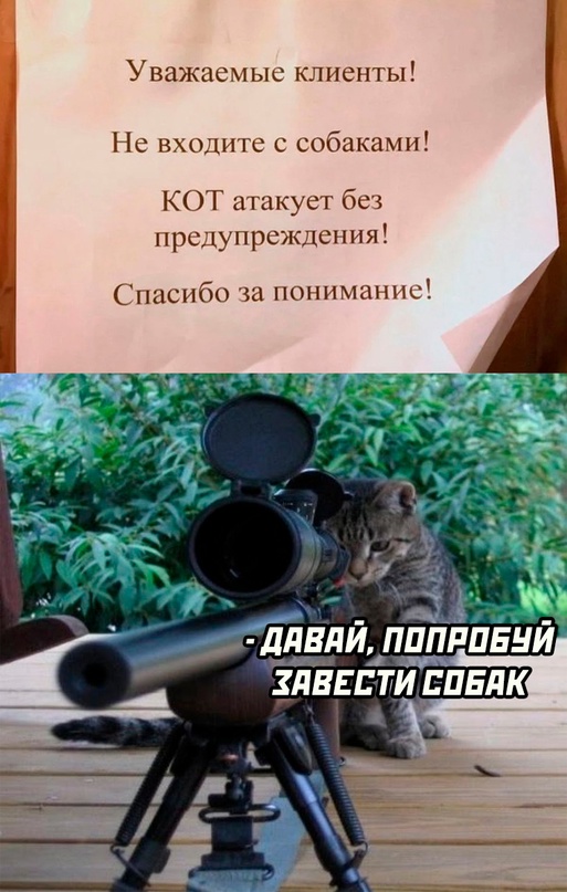 Картинки и мемы, всем хороших выходных