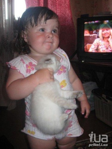 Делайте что он просит ...