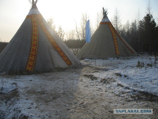 Необычные апартаменты в аренду на www.wimdu.ru