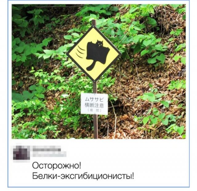 Картинки и мемы, всяко разно - 185