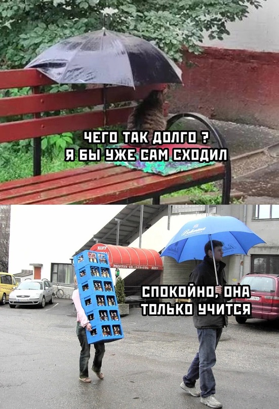Субботняя скупка краденого 01.10.23