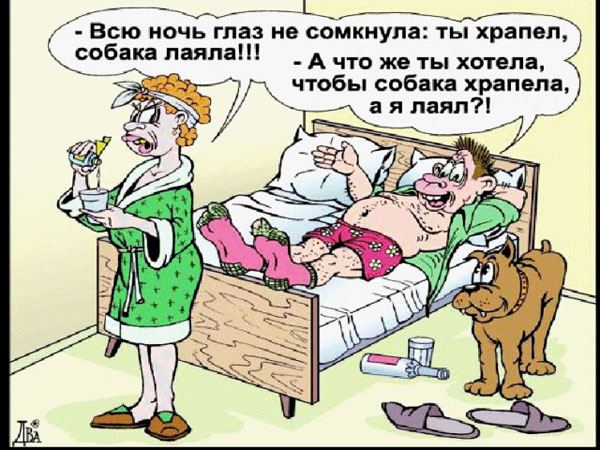 Воскресные легкие гармошки