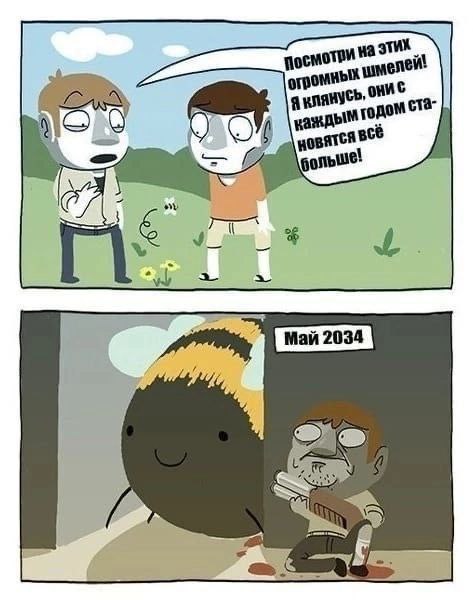 19152869.jpg