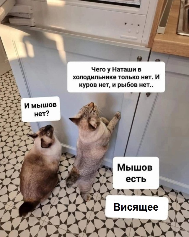 Так себе картинки 21.10.24