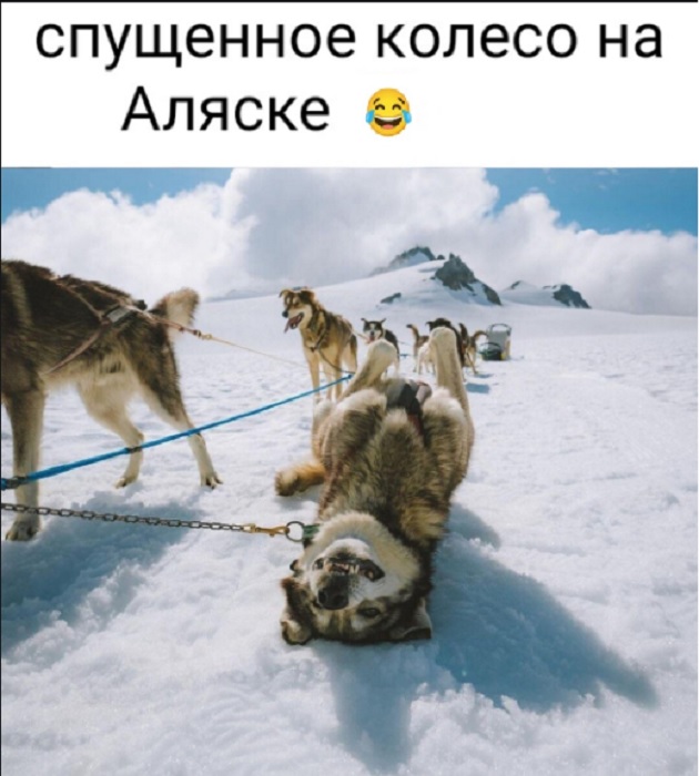Картинки разные с надписями и без