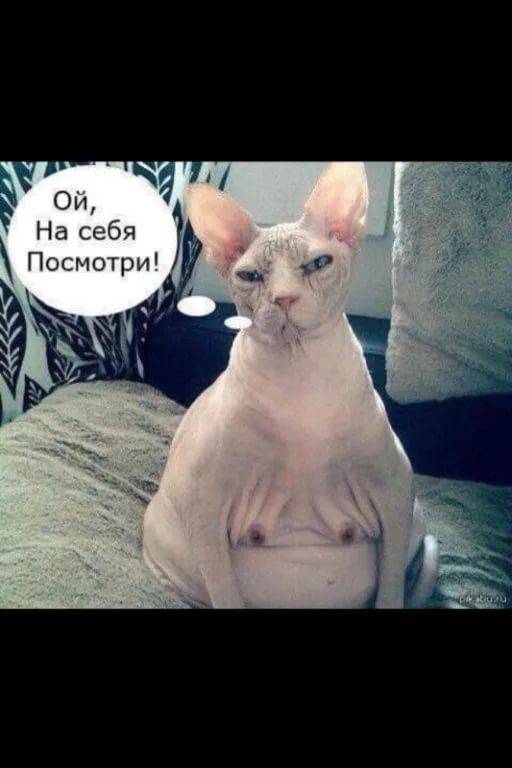 Крайне ответственная работа