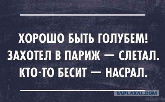 Вопрос к знатокам
