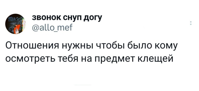 Так себе картинки 25.06.25