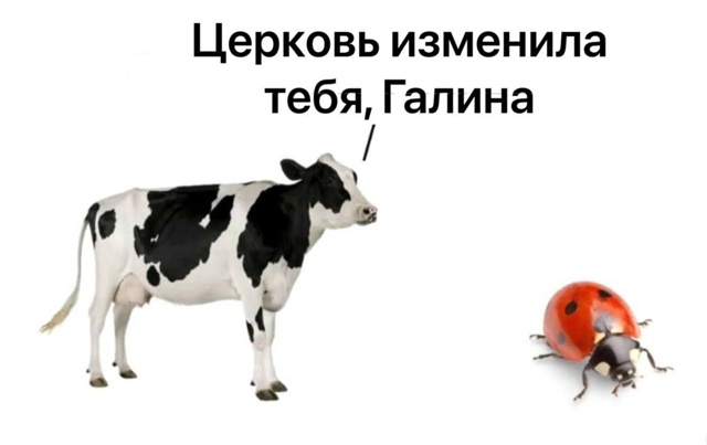 Набери меня...