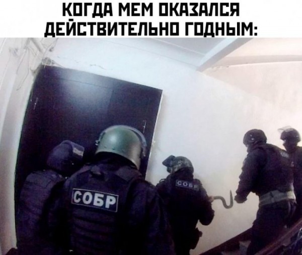 Маленькая пятница 19.11